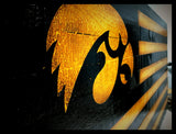 Iowa Hawkeyes Alumni Flag - American Flag Signs